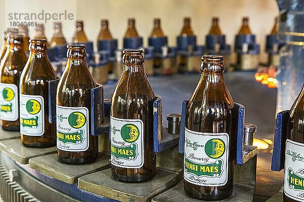 Bierflaschen auf dem Fließband der Brouwerij Henri Maes  belgische Brauerei in Brügge  Belgien  Europa