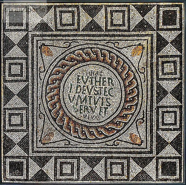Römisches Mosaik  Musei Civici agli Eremitani  Padua  Schatzkammer im Herzen Venetiens  Italien  Padua  Venetien  Italien  Europa