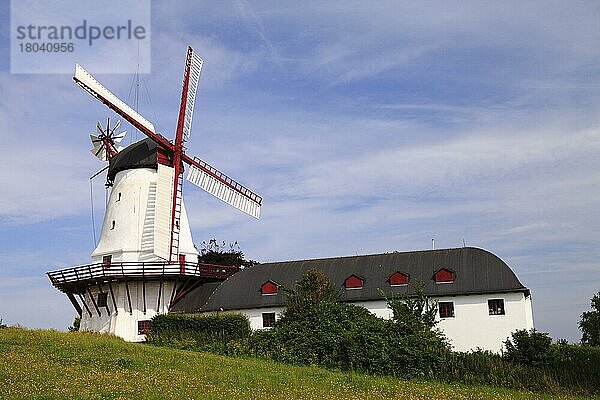 Holländische Windmühle  Dybbol  Düppel  Sonderborg  Als  Jütland  Dänemark  Europa