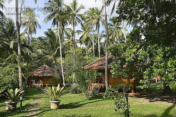 Resort Palm Paradise Cabanas and Villas  Tangalle  Sri Lanka  Asien