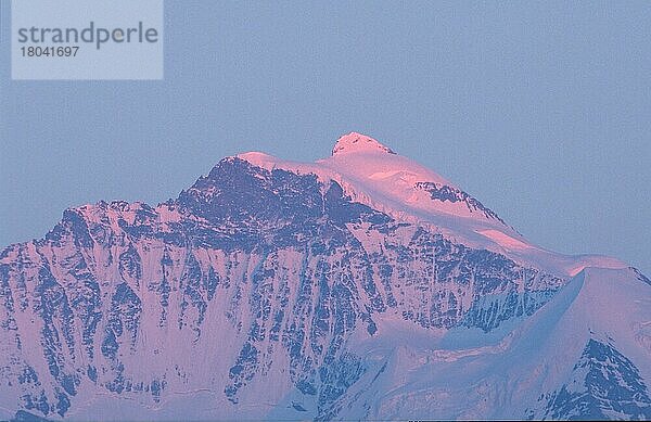 Jungfrau (Abenddäerung) (dusk) (twilight) (Europa) (Landschaften) (landscapes) (Gebirge) (Berge) (ountains) (Querforat) (horizontal) (Alpenglühen) (alpenglow)  4158 m  Blick von Beatenberg  Schweiz  Europa