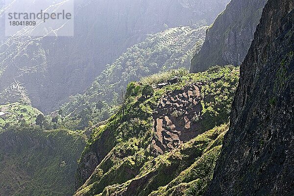 Kleine Terrassenfelder am Berghang im Ribeira Grande Tal auf der Insel Santo Antão  Cabo  Westafrika  Kap Verde  Afrika
