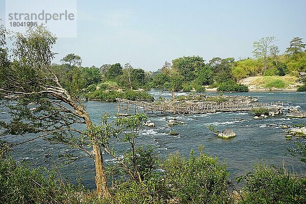 Bambusgestelle zum Fischfang  Tad Pho Stromschnellen  Don Sahong  4000 Inseln  Si Phan Don  Mekong  Provinz Champasak  Sued-Laos  Laos  Asien