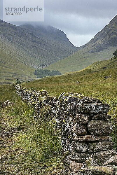 Alte Trockenmauer im Moor  die zum Berg Bidean nam Bian und den berühmten Three Sisters of Glen Coe führt  Argyll  Schottische Highlands  Schottland  Großbritannien  Europa