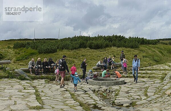 Elbquelle  Riesengebirge  Tschechien  Europa