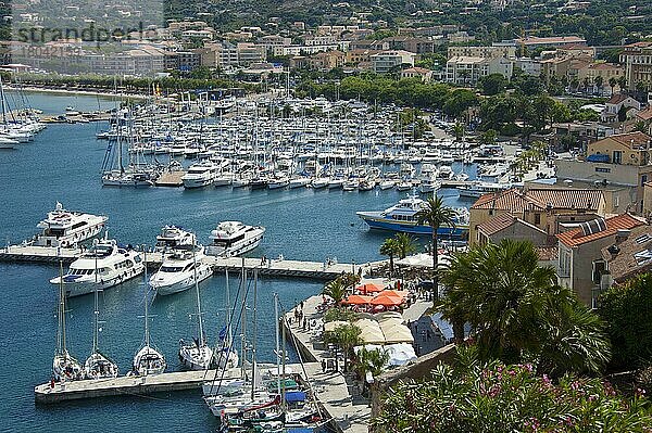 Hafen  Calvi  Korsika  Frankreich  Blick von Zitadelle  Europa