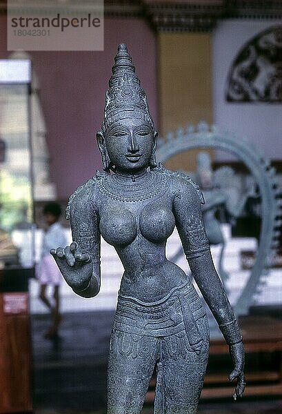 Bronzestatue von Parvathi in der Nayak Darbar Hall  Kunstgalerie in Thanjavur  Tanjore  Tamil Nadu  Indien  Asien