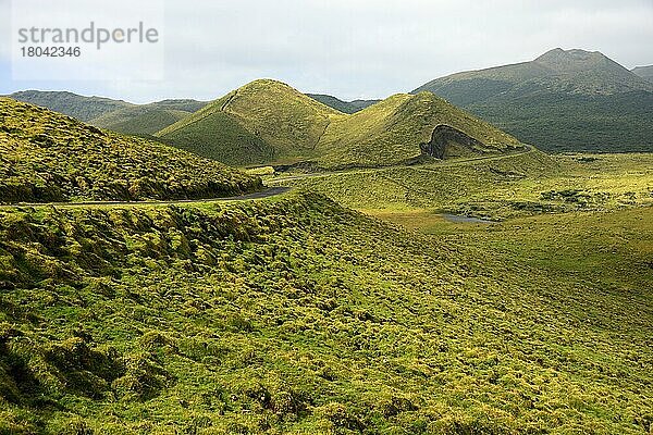 Landschaft bei Cabeco do Caveiro  Hochland  Pico  Azoren  Portugal  Europa