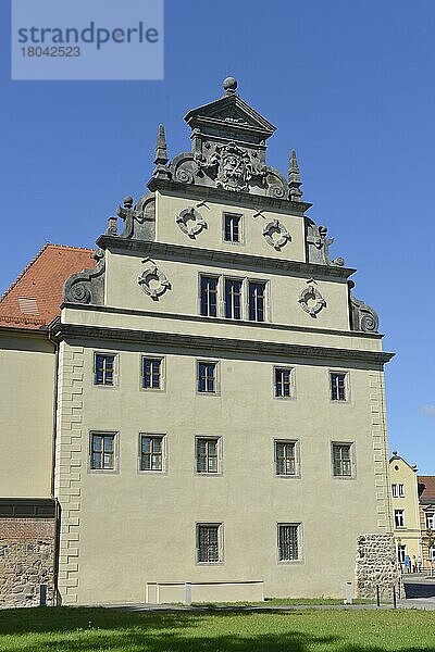 Lutherhaus  Augusteum  Collegienstraße  Lutherstadt Wittenberg  Sachsen-Anhalt  Deutschland  Europa