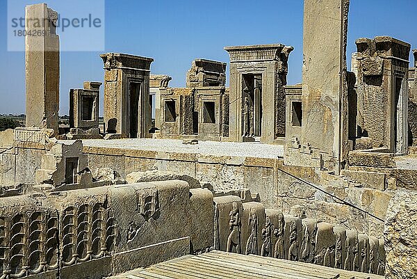 Palast des Darius  Persepolis  Persepolis  Iran