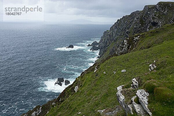 Bray Head  Valentia Island  Der Skellig Ring  Irland  Valencia Island  Europa