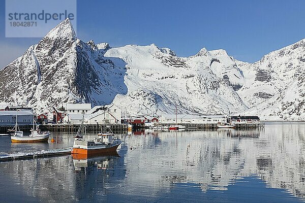 Fischerboote im Hafen Hamnøy  kleines Fischerdorf in der Gemeinde Moskenes  Landkreis Nordland  Lofoten  Norwegen  Europa