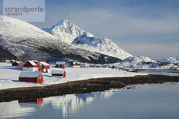 Rote hölzerne Rorbuerhütten entlang des Fjords im Schnee im Winter auf Offersoya  Offersøya  Vestvågøya  Vest-Vågøy  Lofoten  Norwegen  Europa