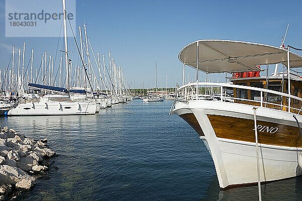 Hafen  Biograd na Moru  Dalmatien  Kroatien  Europa