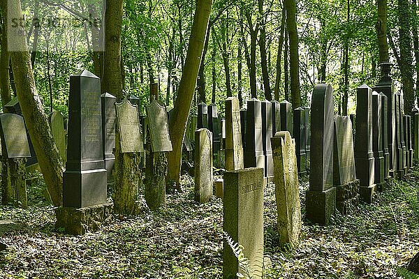 Jüdischer Friedhof  Herbert-Baum-Strasse  Weissensee  Pankow  Berlin  Deutschland  Europa