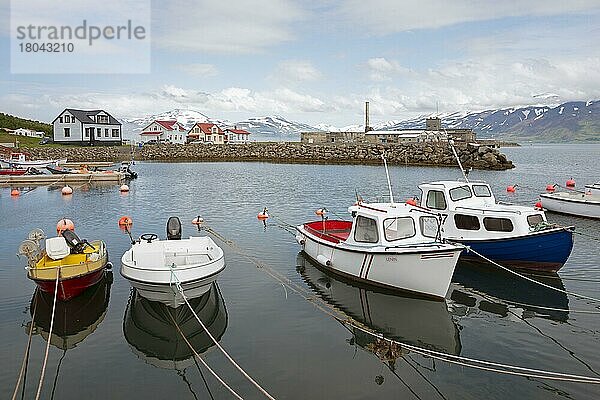 Hafen  Hjalteyri  Fjord Eyjafjordur  Island  Europa