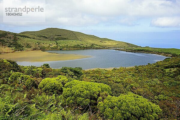 Lagoa do Caiado  Hochland  Pico  Azoren  Portugal  Europa