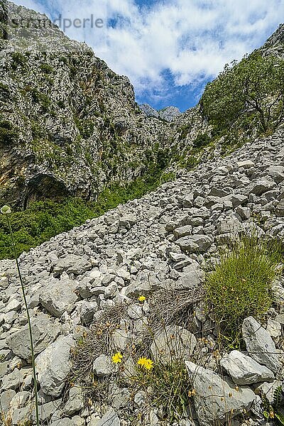 Biokovo Nationalpark  Dalmatien  Kroatien  Europa