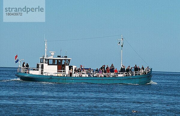 Touristen auf Fischkutter  Texel  Niederlande  Ausflugsboot  Europa  Querformat  horizontal  Boot  Schiff  Menschen  Leute  Gruppen  Europa