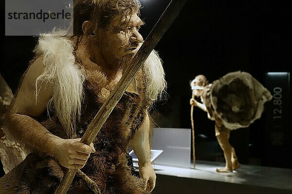 Neandertaler-Jäger im Gallo-Romeins Museum  Gallo-Römisches Museum  Tongeren  Belgien  Europa