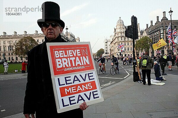 Demonstrant in schwarzem Outfit und Hut mit Leave means Leave-Schild in Westminster. London  England  Großbritannien  Europa