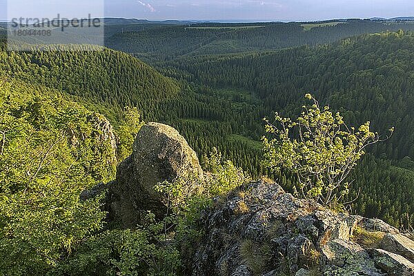 Hahnenkleeklippen  Hahnenklee Crags im Oberharz  Oberharz im Nationalpark Harz  Niedersachsen  Deutschland  Europa