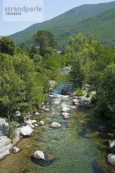 Fluss Vecchio  D143  Korsika  Frankreich  Europa