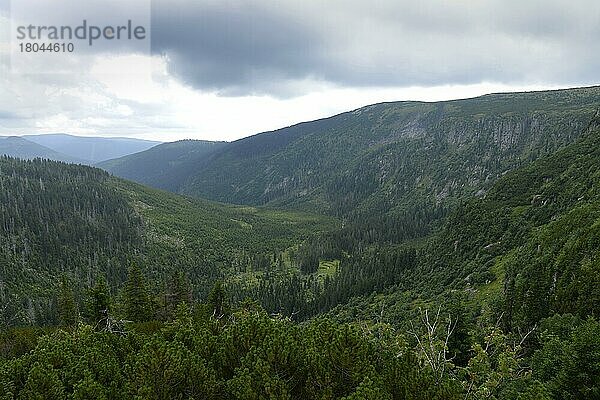 Oberes Elbtal  Riesengebirge  Tschechien  Europa