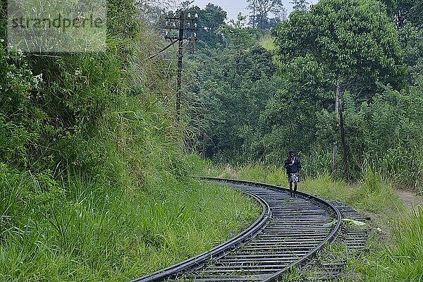 Eisenbahnstrecke  Ella  Sri Lanka  Asien