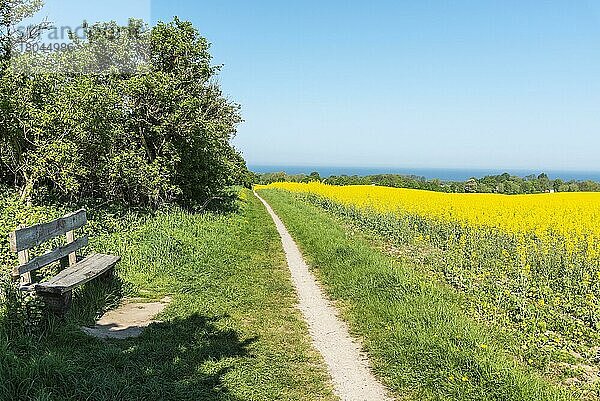 Bank  Weg  Ostsee  Kap Bukspitze  Mecklenburg-Vorpommern  Deutschland  Europa