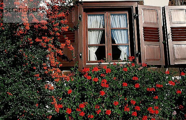 Fenster mit Blumen  Fachwerkhaus  Seebach  Elsass  Frankreich  Fenster mit Blumenschmuck  Europa  Sommer  summer  Querformat  horizontal  Europa