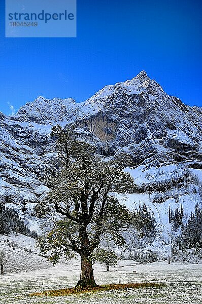 Alpe Eng  Ahornboden  Karwendelgebirge  Österreich  Europa