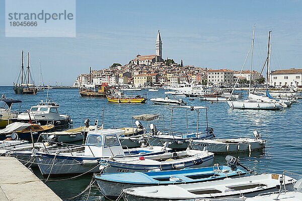 Altstadt und Hafen  Rovinj  Istrien  Kroatien  Europa