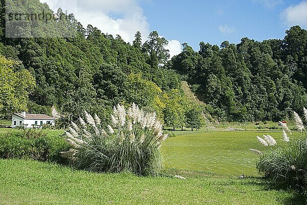 Furnas-See  Lagoa das  Sao Miguel  Azoren  Portugal  Europa