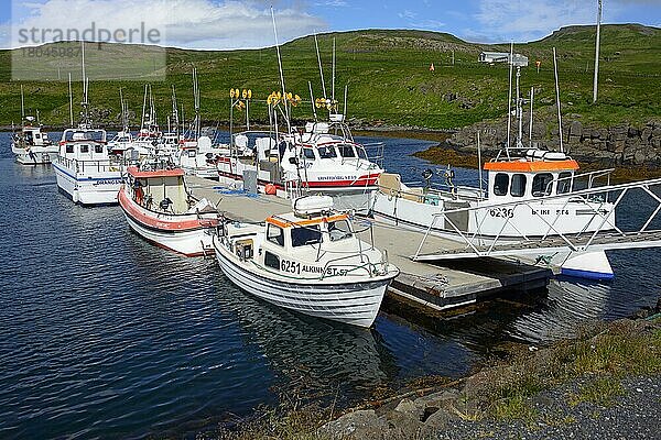 Hafen  Drangsnes  Westfjorde  Island  Europa