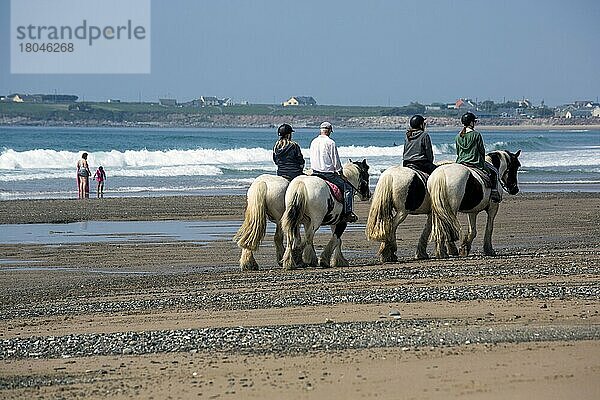 Reiten am Strand in einer wunderschönen Küstenszene am Wild Atlantic Way. Grafschaft Kerry  Irland  Europa