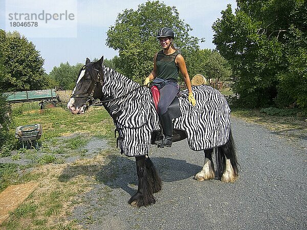 Reiterin auf Pferd  Niedersachsen  Deutschland  Europa