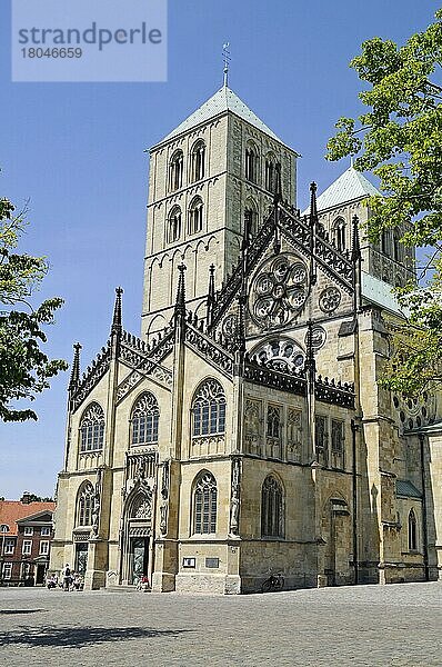 St Paulus Dom  Kathedrale  Kirche  Domplatz  Münster  Münsterland  Nordrhein-Westfalen  Deutschland  Europa