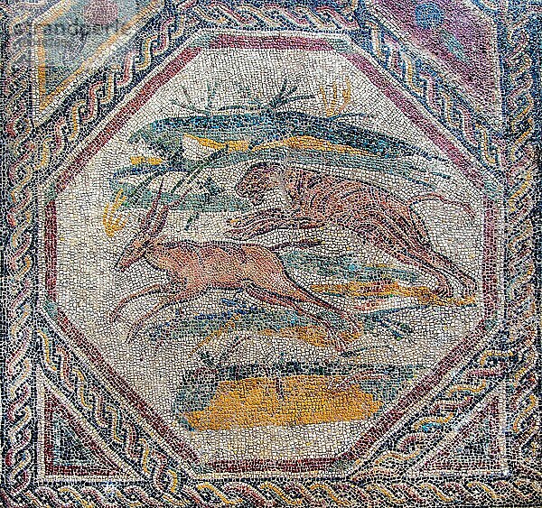Römische Villa mit wunderbaren Mosaikböden  1. -5. Jhd. n. Chr. Desenzano del Garda  Gardasee  Italien  Desenzano del Garda  Gardasee  Italien  Europa