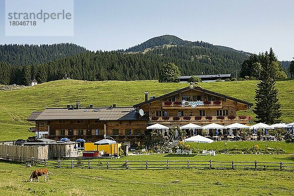 Sonnenalm  Winklmoosalm  Reit im Winkl  Chiemgau  Oberbayern  Bayern  Deutschland  Europa