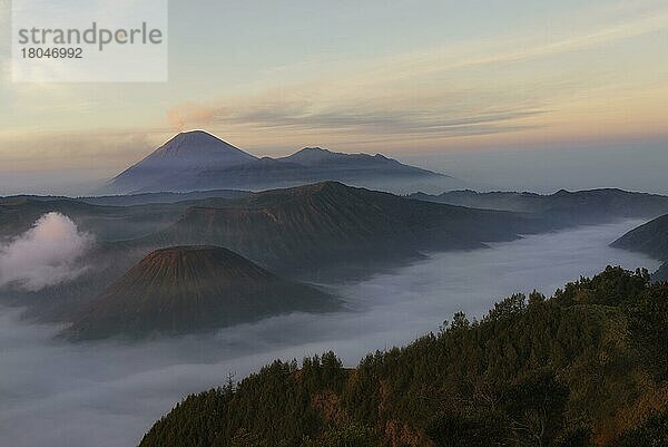 Rauchender Vulkan Gunung Bromo  Bromo-Tengger-Semeru-Nationalpark  Java  Indonesien  Asien