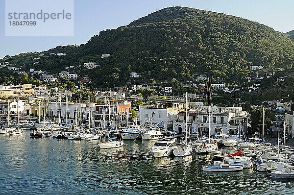 Ischia Porto  Hafen  Insel Ischia  Golf von Neapel  Kampanien  Italien  Europa