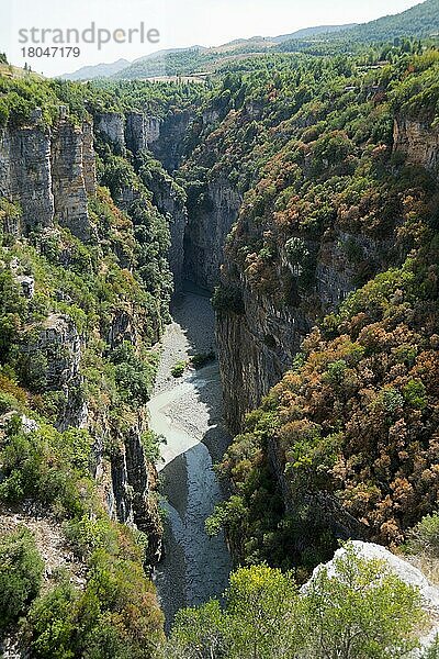 Osum Schlucht  canyon  Fluss Osum  Albanien  Europa