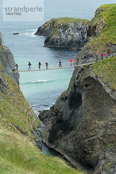 Hängebrücke  Carrick-a-Rede Rope Bridge  Insel Carrick-a-Rede  County Antrim  Nordirland  Großbritannien  Europa