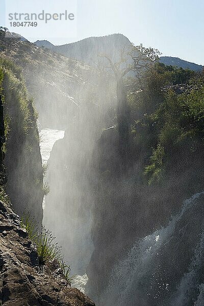 Epupa-Wasserfall  Wasserfälle  Falls  Fluss Kunene  Kaokoveld  Namibia  Afrika