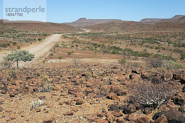 Landschaft  C43  nördlich Palmwag  Damaraland  Namibia  Afrika