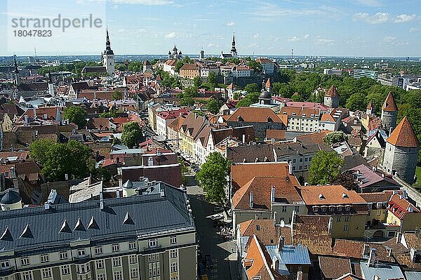 Unterstadt und Oberstadt  Altstadt  Tallinn  Estland  Baltikum  Europa  Blick von der Olaikirche  Europa