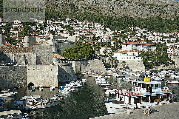 Hafen  Altstadt  Dubrovnik  Dalmatien  Kroatien  Europa