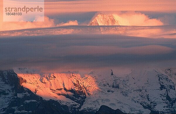 Alpengipfel und Wolken im Abendlicht  in  Berner Oberland (Europa) (Landschaften) (landscapes) (Gebirge) (Berge) (mountains) (Querformat) (horizontal)  Blick vom Niederhorn  Schweiz  Europa