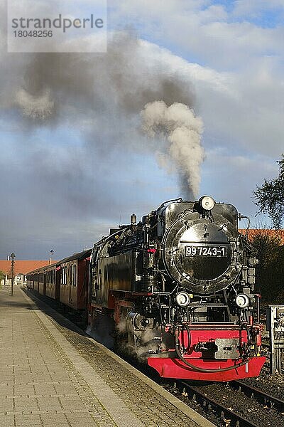 Dampflokomotive im Bahnhof Wernigerode  Harzer Schmalspurbahn  Brockenbahn  Wernigerode  Harz  Sachsen-Anhalt  Deutschland  Europa